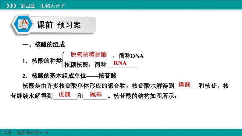 人教版高中化学选修3 4-3《核酸》课件第4页