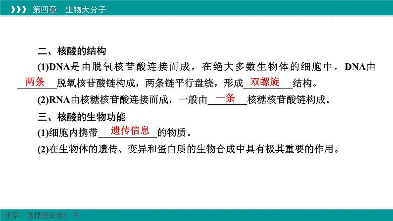 人教版高中化学选修3 4-3《核酸》课件第7页