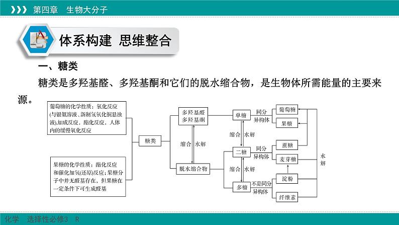 人教版高中化学选修3《第四章_生物大分子（章末整合提升复习）》课件第3页