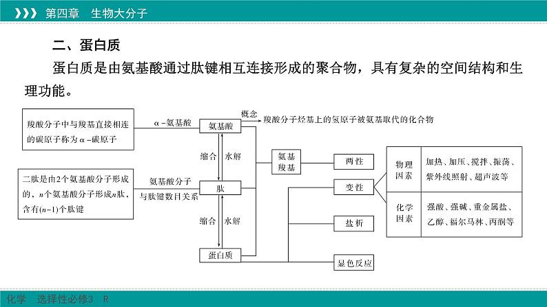 人教版高中化学选修3《第四章_生物大分子（章末整合提升复习）》课件第4页