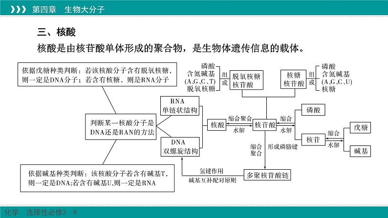 人教版高中化学选修3《第四章_生物大分子（章末整合提升复习）》课件第5页