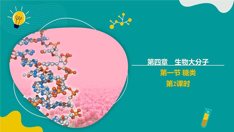 2024-2025学年高二化学（人教版2019选择性必修3）第四章第一节糖类第2课时课件第1页