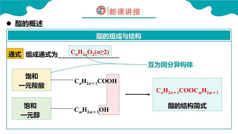 2024-2025学年高二化学（人教版2019选择性必修3）第三章第四节羧酸羧酸衍生物第2课时课件第6页