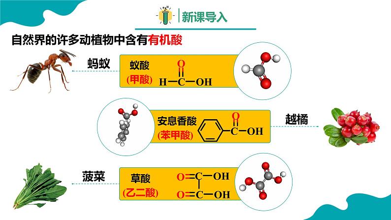 2024-2025学年高二化学（人教版2019选择性必修3）第三章第四节羧酸羧酸衍生物第1课时课件第3页