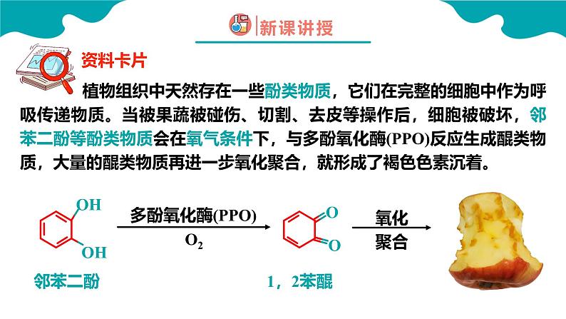 2024-2025学年高二化学（人教版2019选择性必修3）第三章第二节醇酚第2课时课件第4页