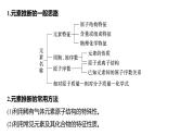 第一章　微专题二　元素推断与元素周期律的综合应用-2025春高中化学人教版 选择性必修2 课件