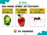 2024-2025学年高二化学（人教版2019选择性必修3）第二章第一节烷烃课件