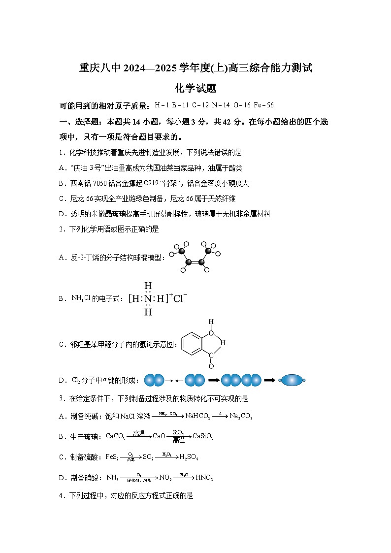 重庆市第八中学2024-2025学年高三上学期1月期末考试化学试题（Word版附解析）第1页