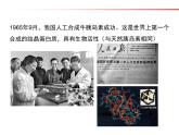 人教版 (新課標(biāo))高中化學(xué)選修5 1-1《有機(jī)化合物的分類(lèi)》課件