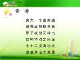 人教版 (新課標(biāo))高中化學(xué)選修5 1-2《有機(jī)化合物的結(jié)構(gòu)特點(diǎn)》課件