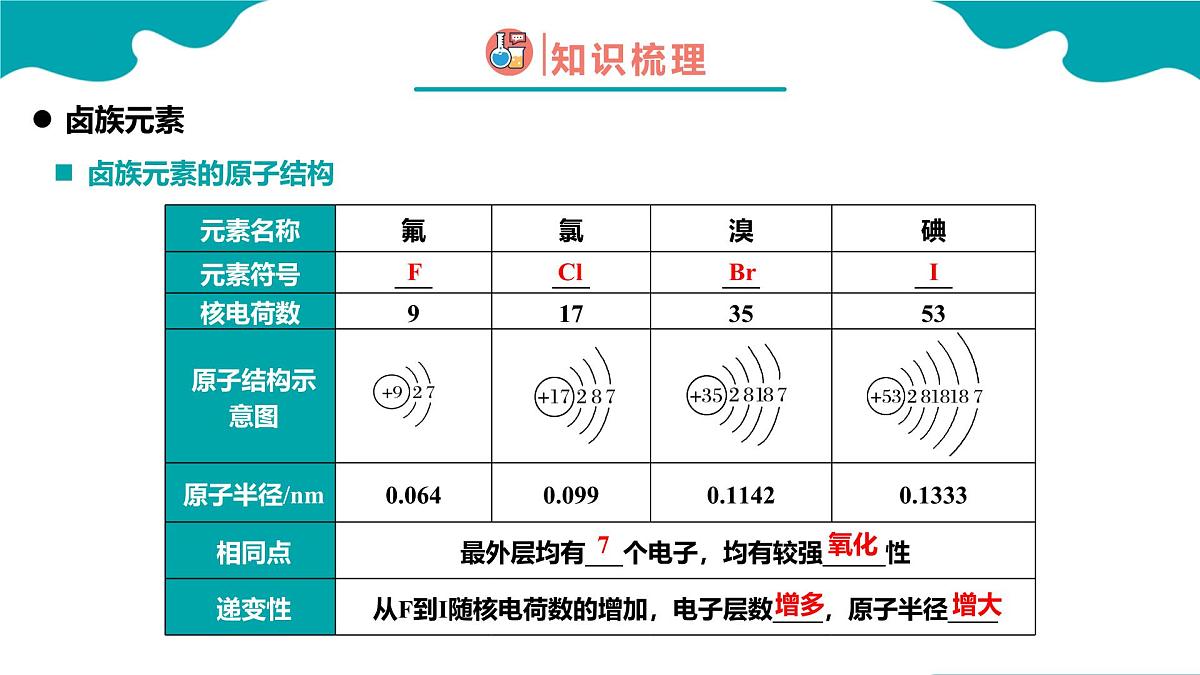 2024-2025学年高一化学（人教版2019必修一）4-1-4原子结构与元素周期表（4）课件第6页