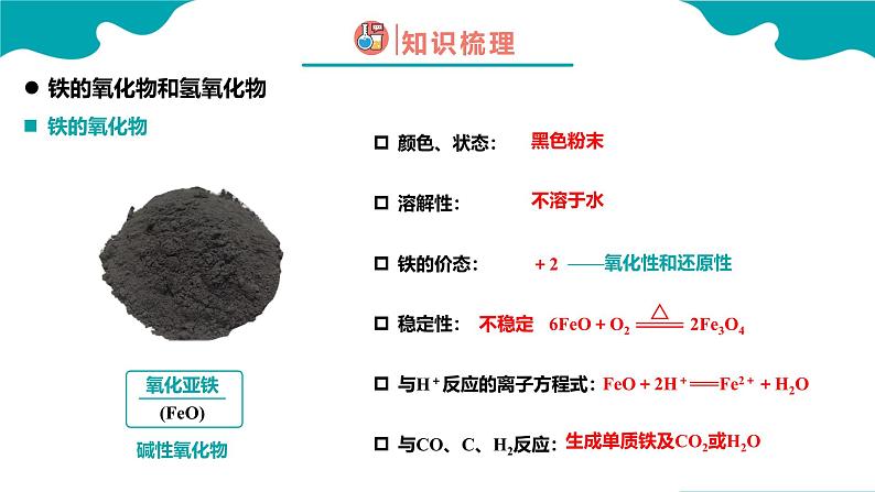 2024-2025学年高一化学（人教版2019必修一）3-1-2铁及其化合物（2）课件第5页