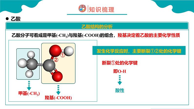 2024-2025学年高一化学（人教版2019必修二）7-3-2乙醇与乙酸（2）课件第8页