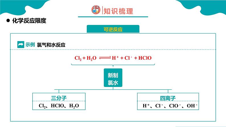 2024-2025学年高一化学（人教版2019必修二）6-2-2化学反应的速率与限度（2）课件第6页