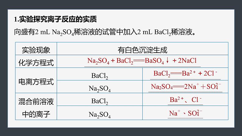 第一章　第二节　第2课时　离子反应第6页