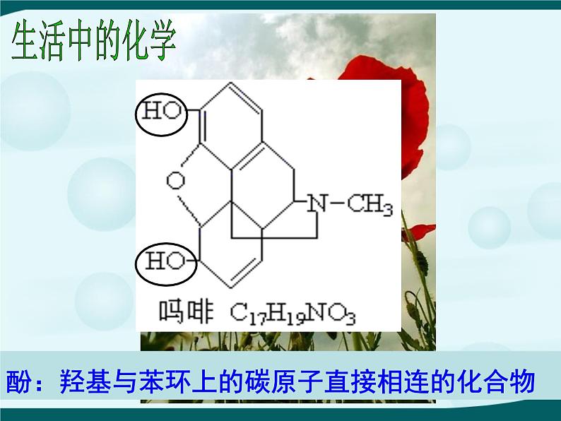 人教版 (新课标)高中化学 选修5 3-1《酚》课 件课件PPT第3页