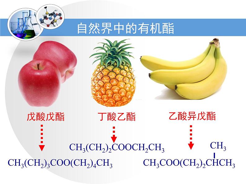 人教版 (新课标)高中化学 选修5 3-3《羧酸酯》第二课时教学课件第6页