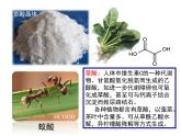 《羧酸酯》第一課時(shí)教學(xué)課件