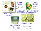 《羧酸酯》第一課時(shí)教學(xué)課件