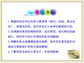 人教版 (新課標)高中化學 選修5 3-4《有機合成》課件
