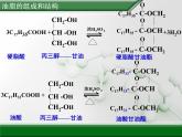 人教版 (新課標(biāo))高中化學(xué) 選修5 4-1《油脂》課件