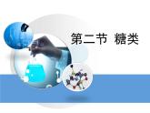 人教版 (新課標(biāo))高中化學(xué) 選修5 4-2《糖類》教學(xué)課件