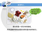 人教版 (新課標(biāo))高中化學(xué) 選修5 4-3《蛋白質(zhì)和核酸》課件