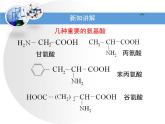 人教版 (新課標(biāo))高中化學(xué) 選修5 4-3《蛋白質(zhì)和核酸》課件