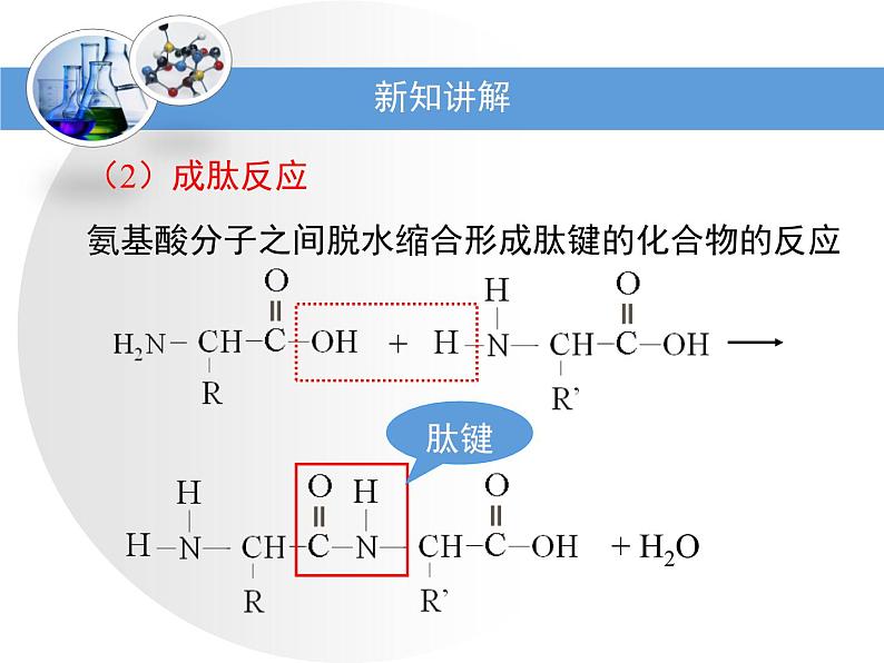 人教版 (新课标)高中化学 选修5 4-3《蛋白质和核酸》课件第8页