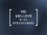 專題9 第二單元 探究鐵及其化合物的轉(zhuǎn)化  課件  蘇教版（2019）必修第二冊(cè)
