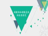 2.1.3碳酸钠与碳酸氢钠化学性质的探究  课件-2024-2025学年高一上学期人教版（2019）高中化学必修1