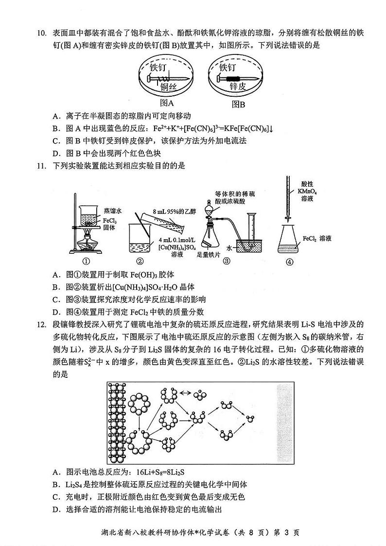 2025年湖北省新八校协作体高三2月联考化学试卷第3页
