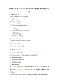 湖南省长沙市2024-2025学年高一下学期开学适应性模拟测试化学试题（解析版）