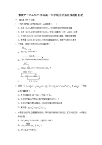 重庆市2024-2025学年高一下学期开学适应性模拟测试化学试题（解析版）