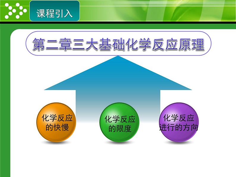 人教版 (新课标)高中化学选修4 2-3《建立化学平衡概念》课件第2页