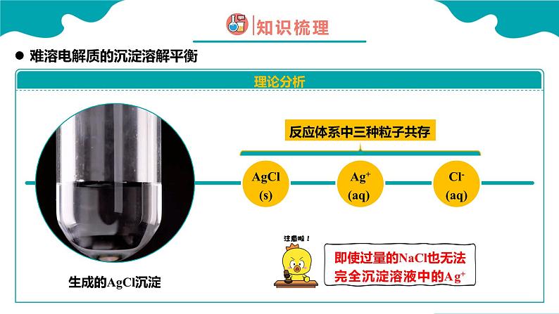 2024-2025学年高二化学（人教版2019选择性必修1）第三章第四节沉淀溶解平衡第1课时课件第7页