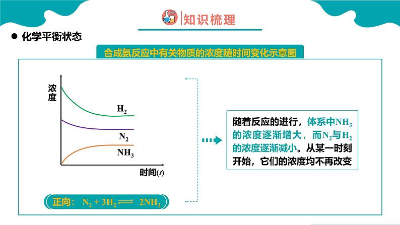 2024-2025学年高二化学（人教版2019选择性必修1）第二章第二节化学平衡第1课时课件第5页