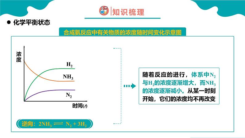 2024-2025学年高二化学（人教版2019选择性必修1）第二章第二节化学平衡第1课时课件第6页