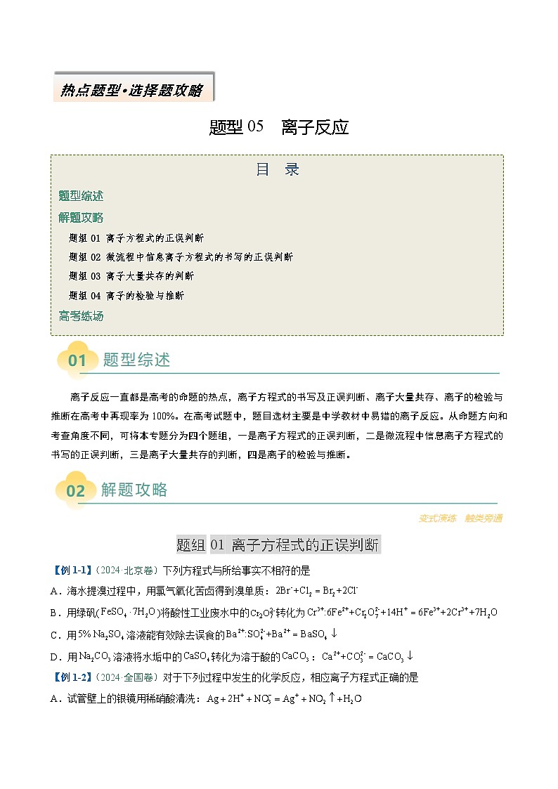 题型05 离子反应-高考化学二轮热点题型归纳与变式演练（新高考通用）（原卷版） 第1页