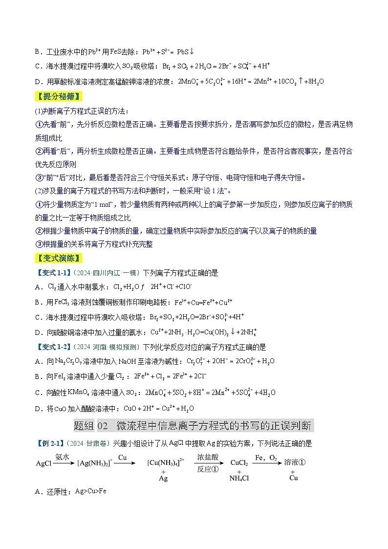 题型05 离子反应-高考化学二轮热点题型归纳与变式演练（新高考通用）（原卷版） 第2页