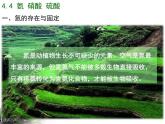 人教版 (新課標(biāo))高中化學(xué)必修1 4-4《氨的性質(zhì)》課件