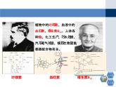 人教版 (新課標(biāo))高中化學(xué)選修3 2-2《分子的立體構(gòu)型》第三課時(shí)教學(xué)課件