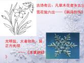 人教版 (新課標(biāo))高中化學(xué)選修3 3-1《晶體的常識(shí)》課件
