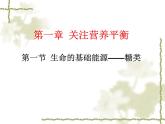 人教版 (新課標)高中化學(xué)選修1 1-1《生命的基礎(chǔ)能源——糖類》課件