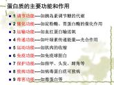 人教版 (新課標)高中化學(xué)選修1 1-3《生命的基礎(chǔ)——蛋白質(zhì)》課件