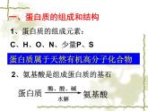 人教版 (新課標)高中化學(xué)選修1 1-3《生命的基礎(chǔ)——蛋白質(zhì)》課件