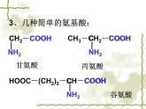 人教版 (新課標)高中化學(xué)選修1 1-3《生命的基礎(chǔ)——蛋白質(zhì)》課件