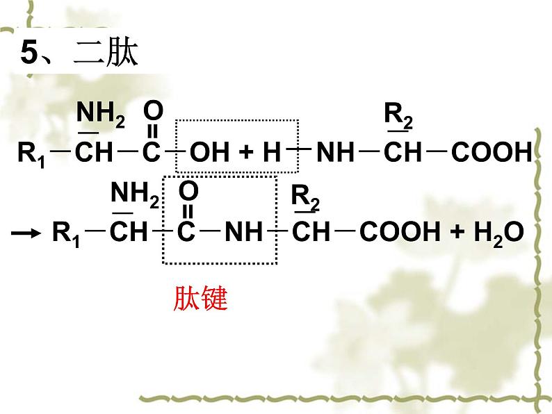 人教版 (新课标)高中化学选修1 1-3《生命的基础——蛋白质》课件第6页