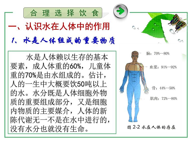 人教版 (新课标)高中化学选修1 2-1《合理选择饮食》课件第5页