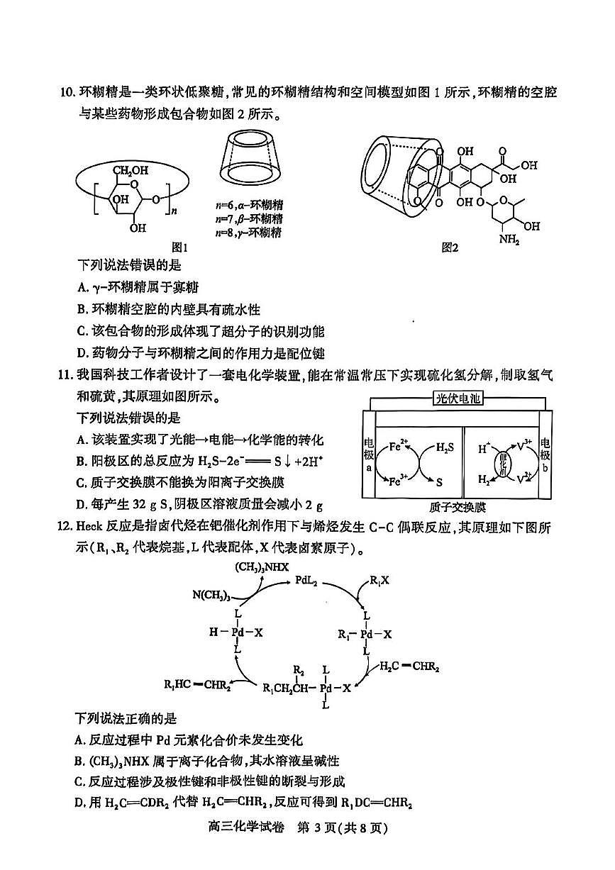 2025年武汉高三下学期2月化学试题第3页